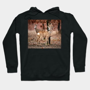 Roe deer family Hoodie